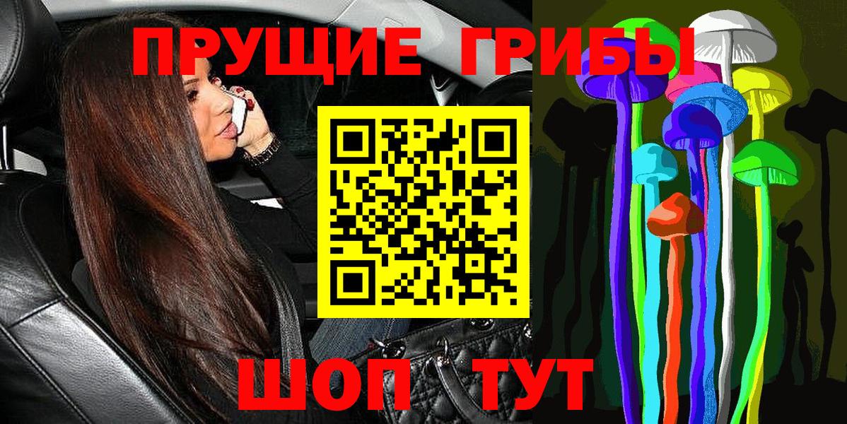 Псилоцибиновые грибы Psilocybine cubensis Рубцовск