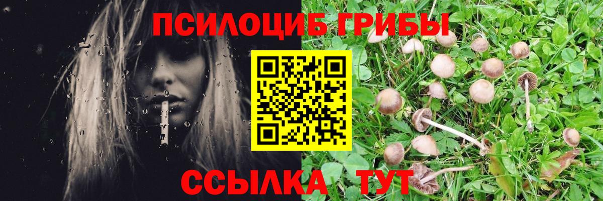 Рубцовск  Псилоцибиновые грибы мухоморы  Вход с VPN  Псилоцибиновые грибы GOLDEN TEACHER 